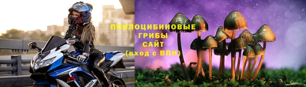 первитин Балахна