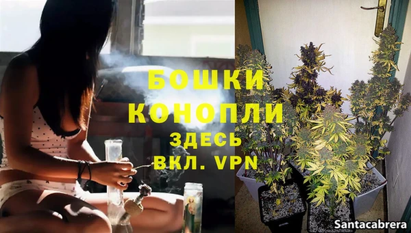 трава Баксан