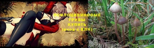 первитин Балахна