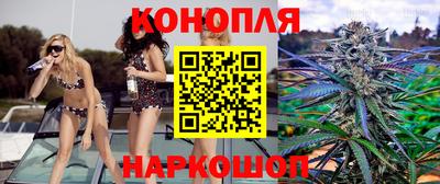 круглые Камышлов