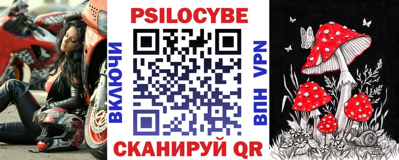 где купить   Кувандык  Псилоцибиновые грибы ЛСД 