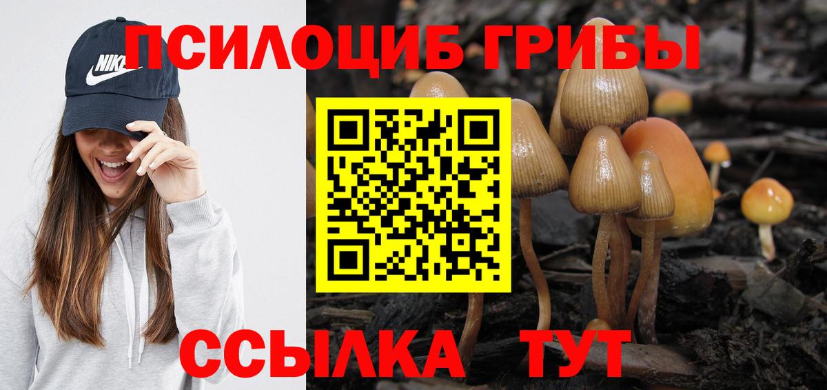 Псилоцибиновые грибы Psilocybine cubensis  Вход с VPN  Кувандык 