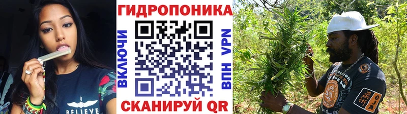 Бошки Шишки индика  Кувандык 
